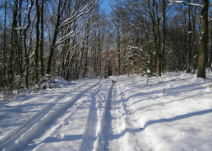 Schimsheimer Rhode Lejlighed Olpe bei Meschede